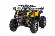 Квадроцикл Tiger Sport 250