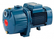 Насос Pedrollo 3CPm 60