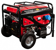 Бензиновая электростанция DDE DPG6501E-ATS
