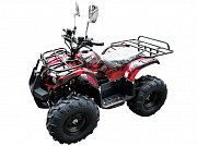 Квадроцикл GreenCamel Atakama T120 12518